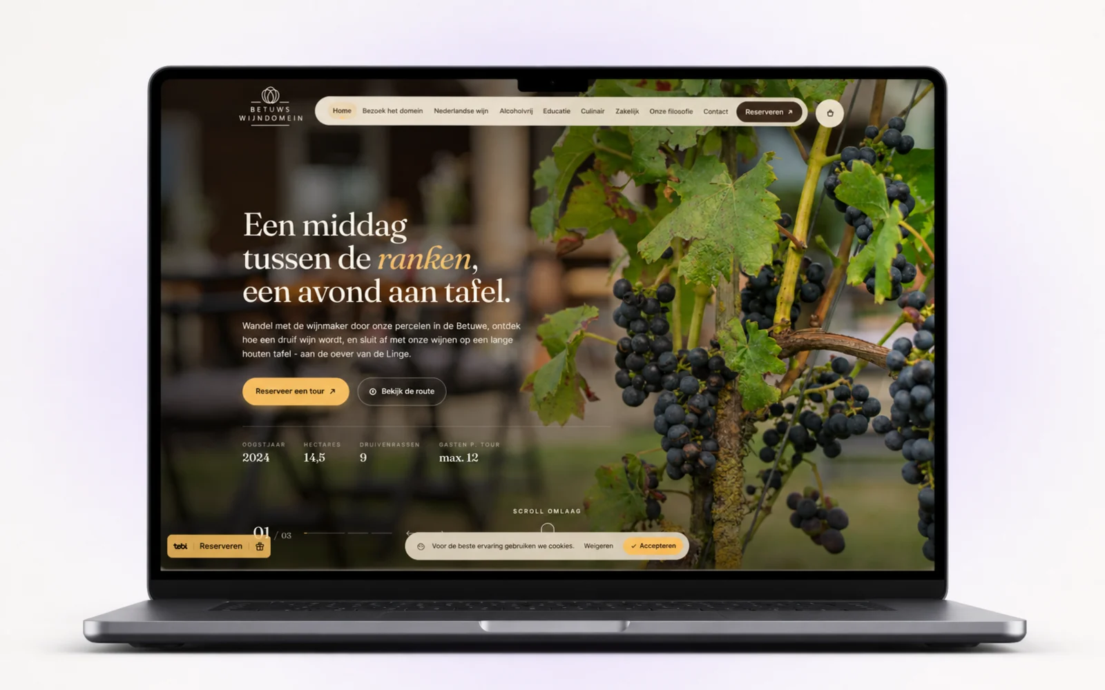Betuws Wijndomein, zoals het eruitziet in gebruik